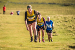 Sale Fell-528