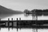 Coniston Mono
