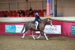 SBM_14731