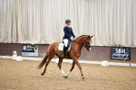 Class 1 - Prelim 6 Gold - 10.00-11.10 portfolio