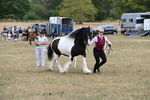 WJ6_5355