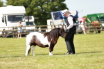 SBM_02001