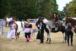 WJ6_9239