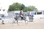 SBM_17241
