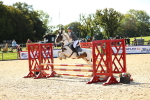 SBM_17693