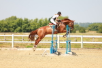 SBM_000854