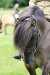 SIAL8245
