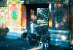 Donkey lady at the Ming Tombs