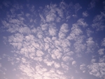 Sky10