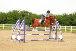 SBM_001371