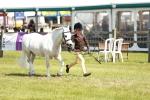 SBM_13581