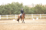 SBM_000961