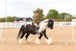 SBM_15651