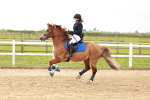 SBM_003986