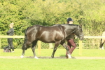 SBM_66391