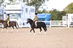 SBM_11611