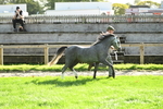 SBM_15875