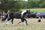 WJ6_5646