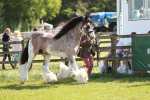 SBM_08951