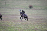 WJ5_6588