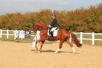 SBM_009339