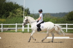 SBM_008990