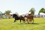 SBM_06680