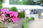 RUD_0591
