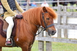 SBM_08437