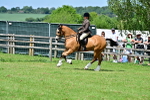 SBM_07931