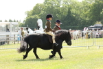SBM_05195