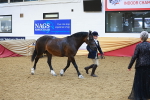SBM_17844