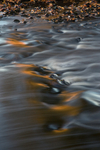 River Manifold