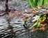20100723_1783