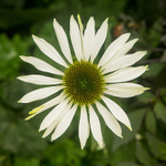 20131002-3K8A6764