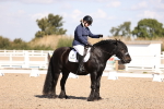 SBM_03538