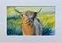 Heilan Coo