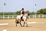 SBM_008657
