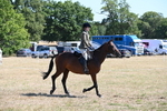 WJ6_8355