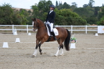 SBM_020287