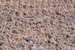 230511A-090816-00019