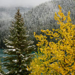 AB-Banff-Jasper-57