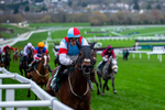 161125-Race 6-Saint Clovis-2023