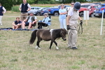 WJ6_5676