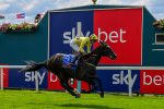 260725-Race 3-Royal Champion-0471