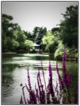 Secret_Garden