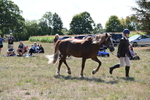 WJ6_4981