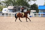 Class 311 Ridden Show Pony/ Show Hunter Pony portfolio