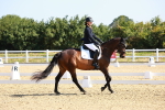 SBM_009544