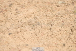 230906A-125016-00338